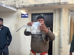 कबूतरबाजी के नाम पर लाखों का सट्टा,4 2 कोलंबिया कबूतर रेस्क्यू,; तीन आरोपी गिरफ्तार किए गए