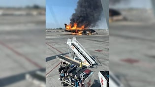 मेक्सिको में मचे बवाल के बीच कर्मचारी को निकालने के लिए...कंपनी ने खरीद लीं सारी अमेरिका जाने वाली टिकटें