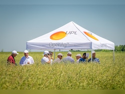 UPL Share Price Cracks As Nuvama Downgrades Stock After Restructuring Proposal