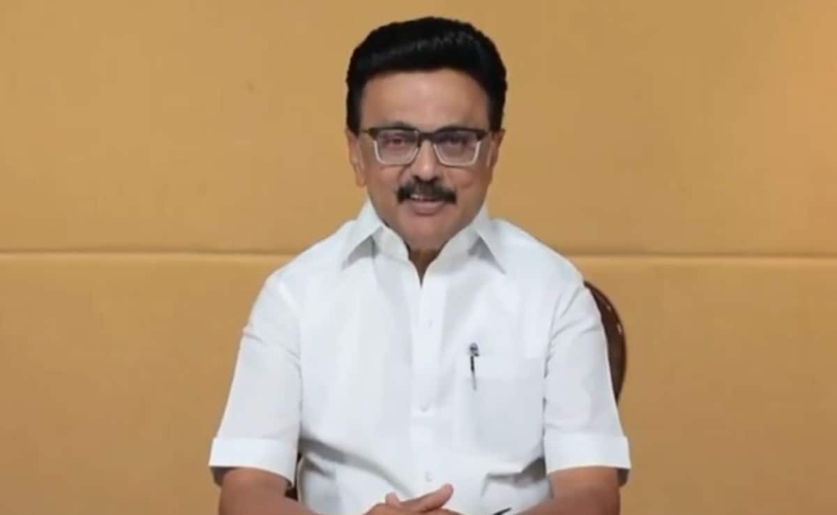 The Art of Baking: From Classic Bread to Artisan Pastries