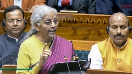 Centre To Support Coconut, Cashew, Other High-Value Crops: Nirmala Sitharaman