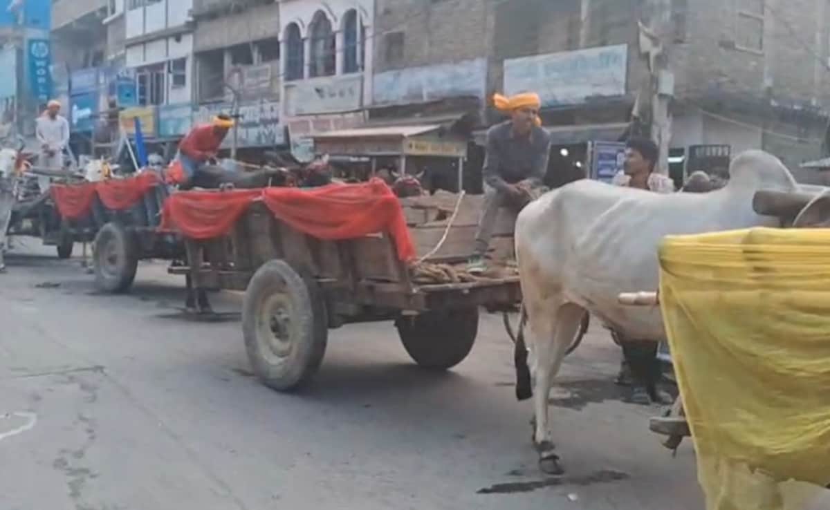 Latest and Breaking News on NDTV