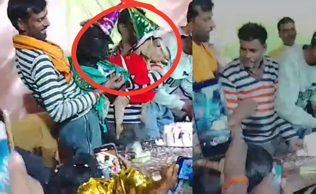 कभी देखा है ऐसा! हरदोई में बकरियों का रॉयल बर्थडे, गांव भर में बंटे कार्ड, DJ की धुनों पर थिरके युवा