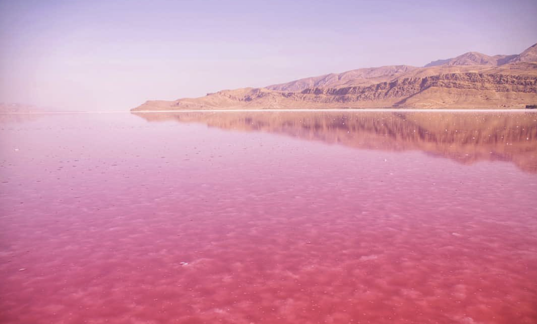 The Real Reason Lake Maharloo Gets Its Pink Colour