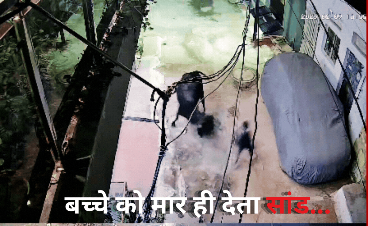 A Heart Wrenching Video: सावधान! कभी भी हमला कर सकता हैं सांड, रोंगटे खड़े कर देगा ये वीडियो
