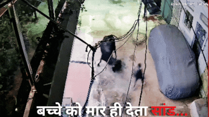 A Heart Wrenching Video: सावधान! कभी भी हमला कर सकता हैं सांड, रोंगटे खड़े कर देगा ये वीडियो