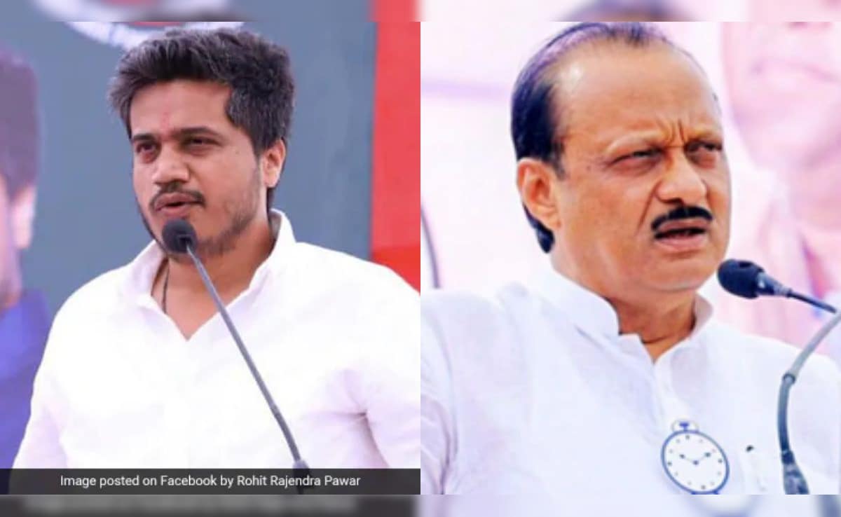 The Art of Baking: From Classic Bread to Artisan Pastries