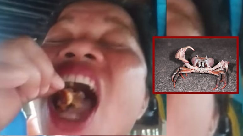 खतरनाक स्टंट बना जानलेवा! वायरल होने की चाह में फूड इन्फ्लुएंसर ने खा लिए डेविल क्रैब और फिर...