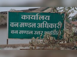 करंट ने ले ली बाघ-बाघिन की जान, शहडोल वन मंडल में हड़कंप, सिर्फ बीट गार्ड-डिप्टी रेंजर सस्पेंड