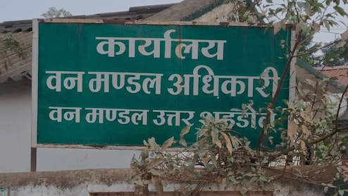 करंट ने ले ली बाघ-बाघिन की जान, शहडोल वन मंडल में हड़कंप, सिर्फ बीट गार्ड-डिप्टी रेंजर सस्पेंड