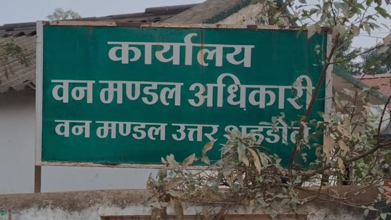 करंट ने ले ली बाघ-बाघिन की जान, शहडोल वन मंडल में हड़कंप, सिर्फ बीट गार्ड-डिप्टी रेंजर सस्पेंड