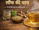 पेट में हो ऐंठन या सूजन, सौंफ देगी आपको आराम, थकान भी करती है दूर