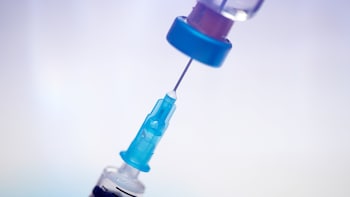 Delhi HC Dismisses Novo Nordisk's Appeal To Block Dr Reddy's Key Ozempic Ingredient Exports