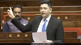 Joint Tax Filing To Exemption: Raghav Chadha Proposes "Practical Reforms"