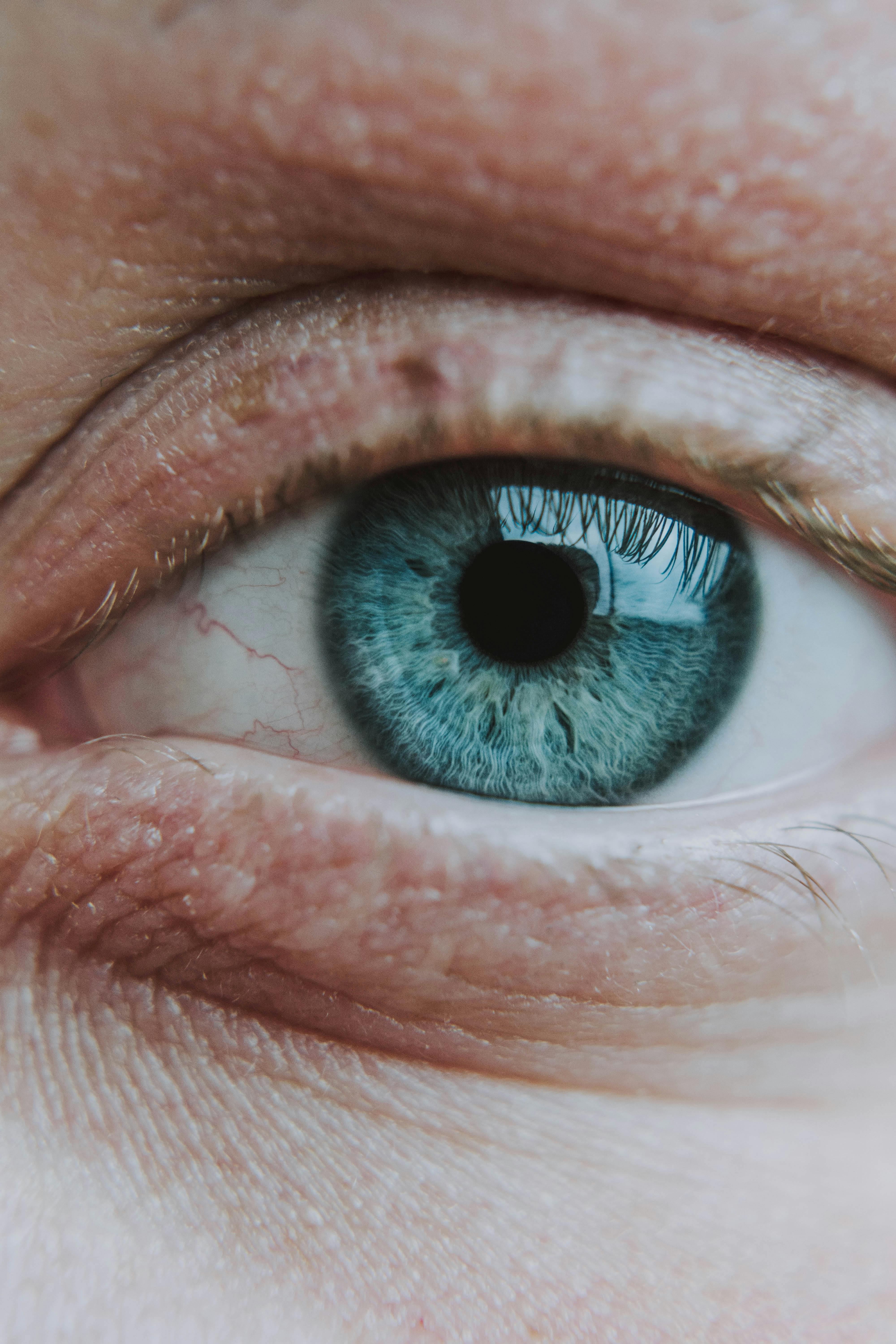Peripheral Retina May Reveal Early Alzheimer's Before Brain Damage
