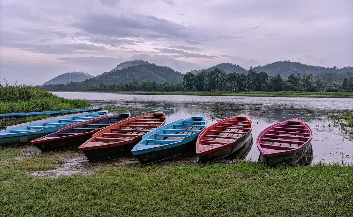 Latest and Breaking News on NDTV