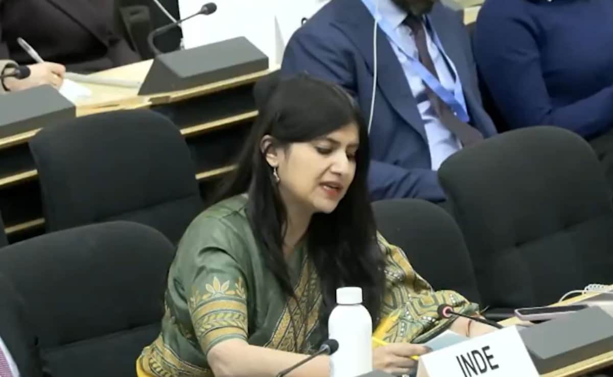 'J&K Development Budget More Than Pak IMF Bailout': India's 'La La Land' Jibe