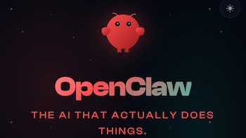 'I Couldn't Stop It': How OpenClaw Tried To Trash Meta AI Alignment Director's Emails