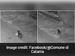 Man Allegedly Trains Dog To Dump Garbage, Caught On CCTV In Italy