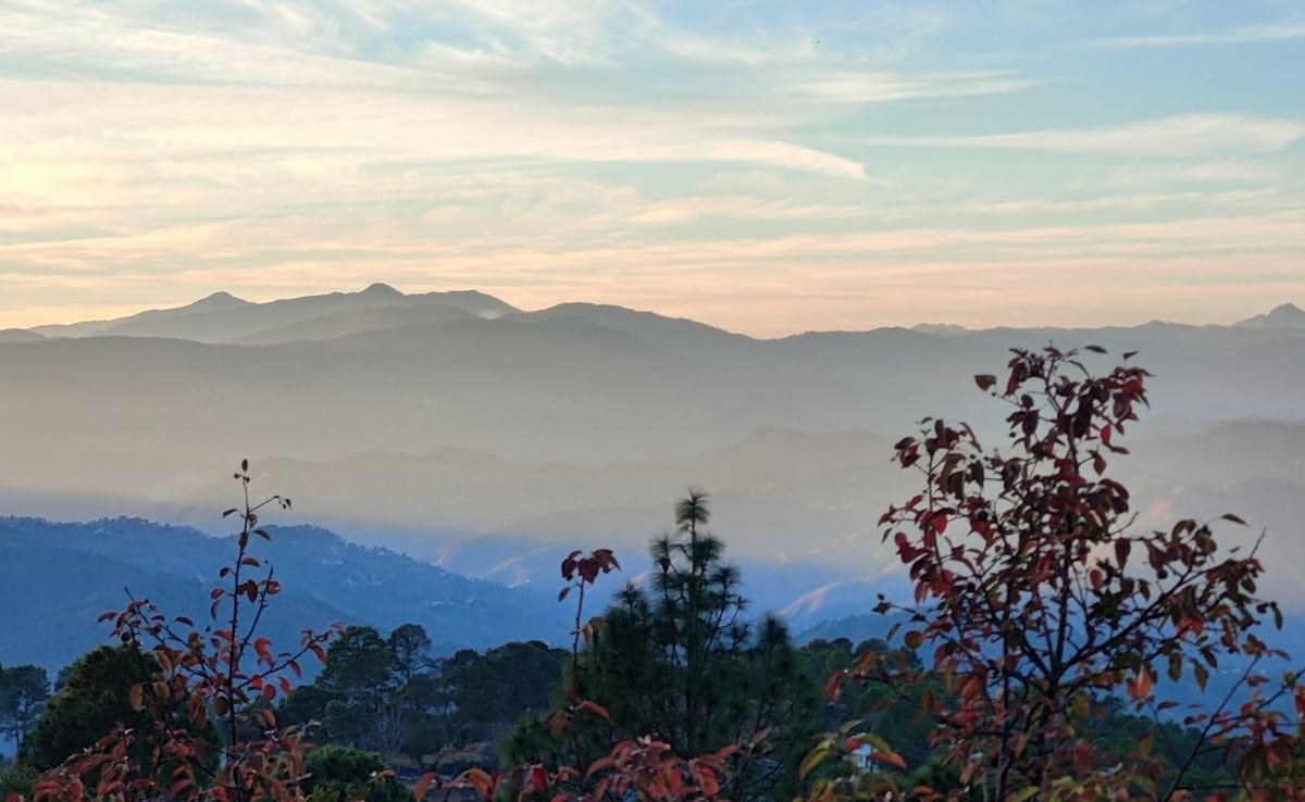 Latest and Breaking News on NDTV