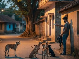 Dog Attack :रस्त्यावर कुत्र्यांनी घेरले तर काय करावे? डॉग एक्सपर्टच्या या टिप्स तुमचा जीव वाचवू शकतात ! VIDEO