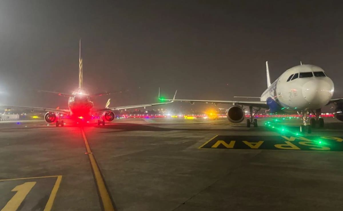 The Art of Baking: From Classic Bread to Artisan Pastries