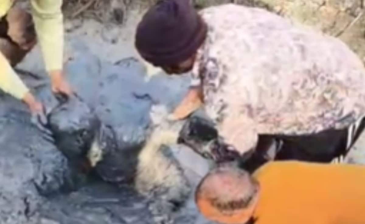 No Streetlights, UP Biker Falls Into Pit, Dies After Shivering For 12 Hours