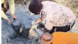 No Streetlights, UP Biker Falls Into Pit, Dies After Shivering For 12 Hours