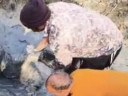 No Streetlights, UP Biker Falls Into Pit, Dies After Shivering For 12 Hours