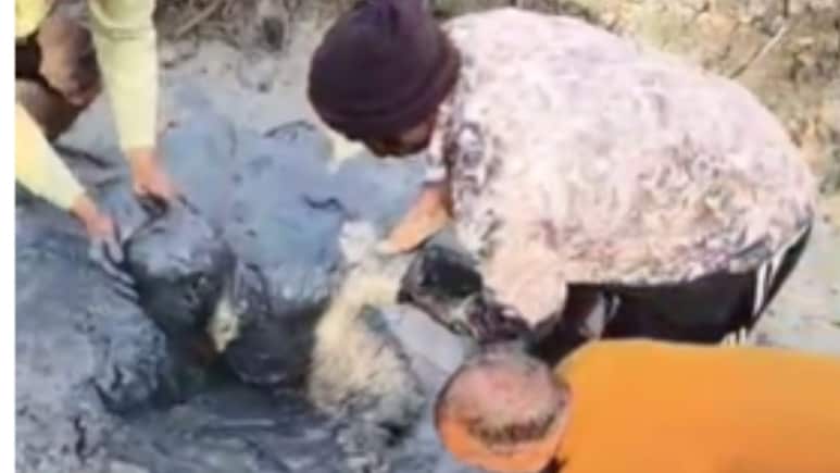 No Streetlights, UP Biker Falls Into Pit, Dies After Shivering For 12 Hours