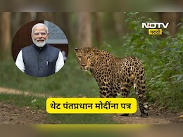 Shirdi News: ना मुख्यमंत्री ना गृहमंत्री!, बिबट्यांचा बंदोबस्त करण्यासाठी 20 हजार पत्र थेट पंतप्रधान मोदींना