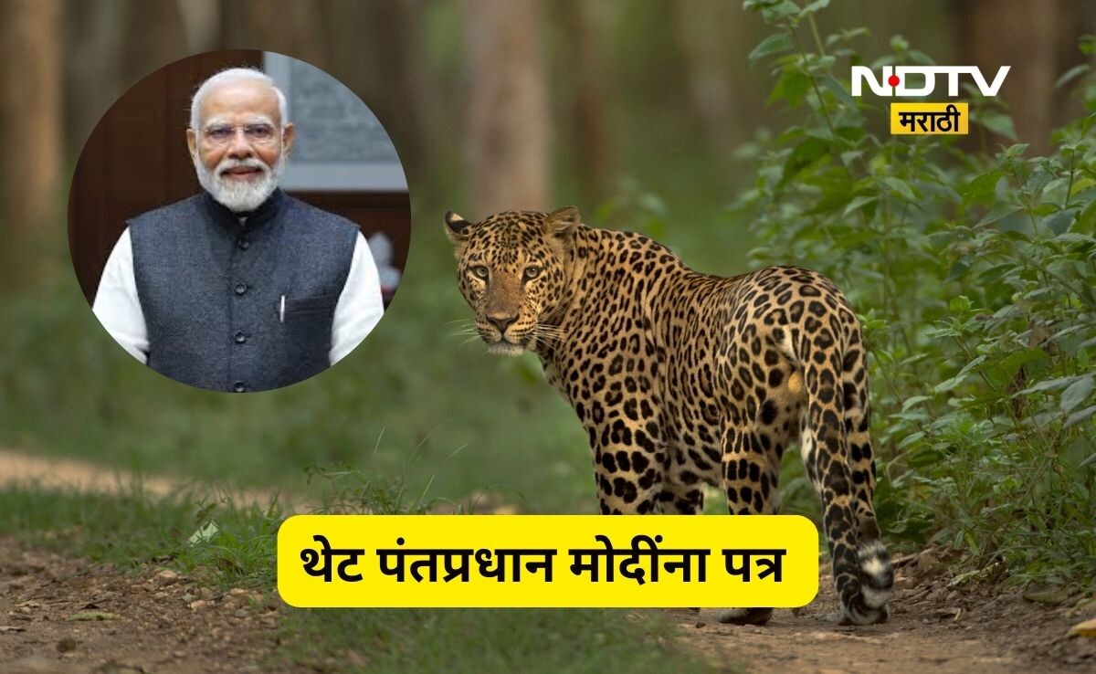 Leopard Modi Shirdi News 20,000 farmers of Rahuri write to PM Modi to solve the ...