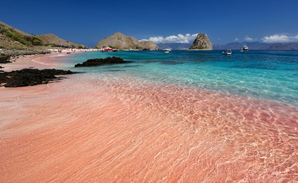 Latest and Breaking News on NDTV