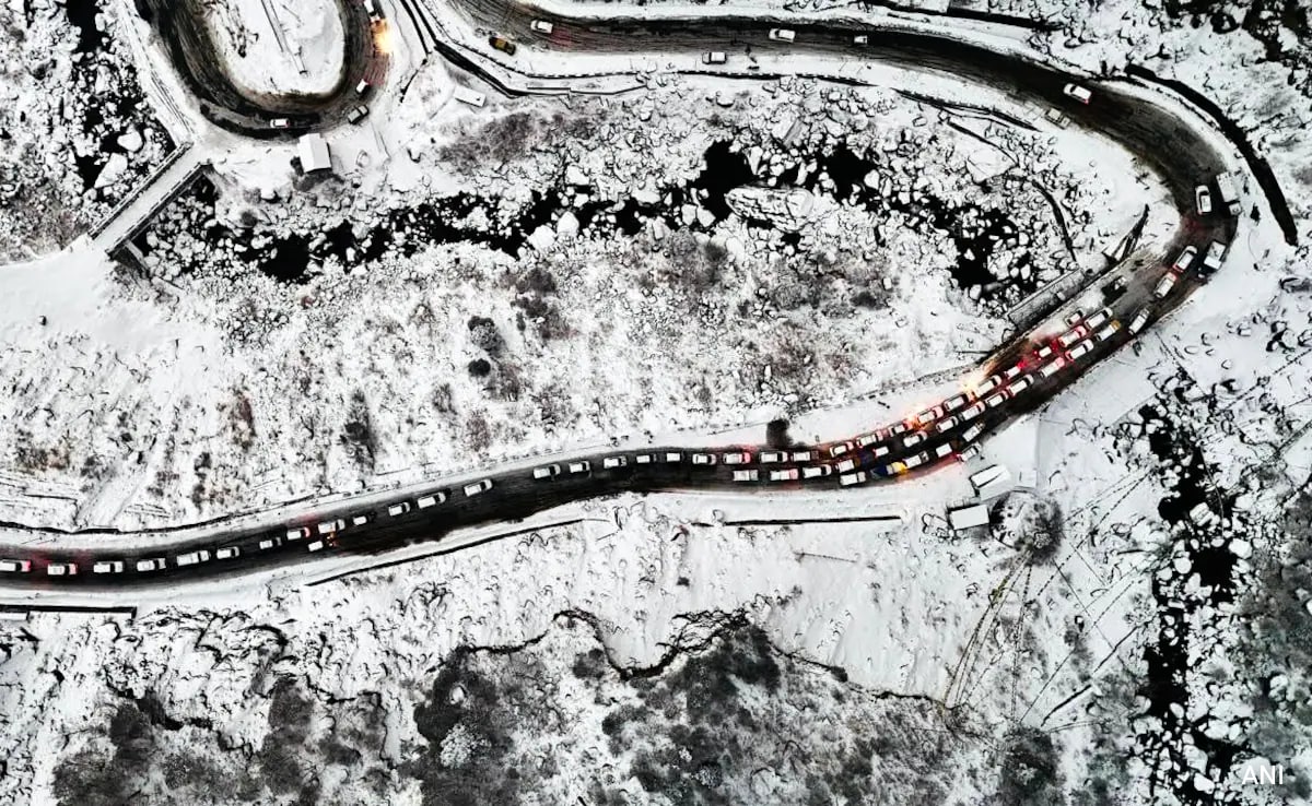 The Art of Baking: From Classic Bread to Artisan Pastries