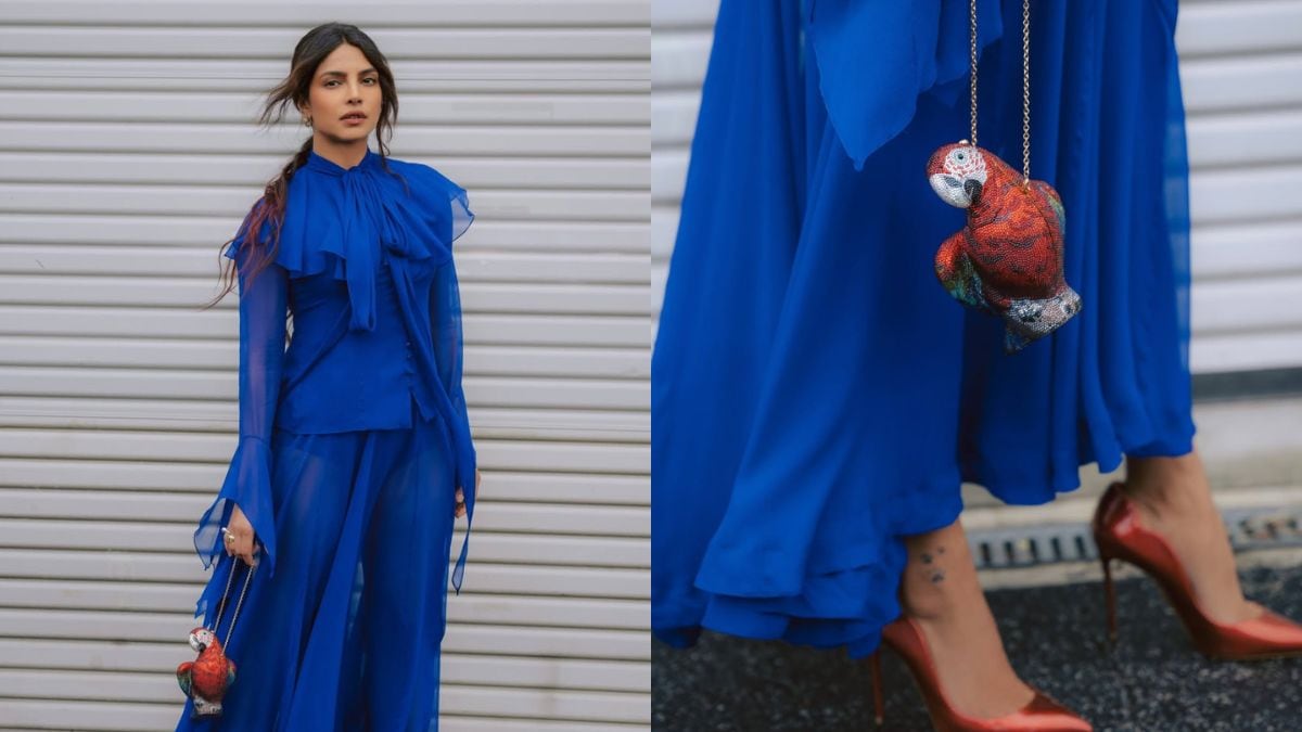 Priyanka Chopra rocked a Rs 5 lakh parrot clutch for The Bluff press tour. Photo: Priyanka Chopra/ Instagram