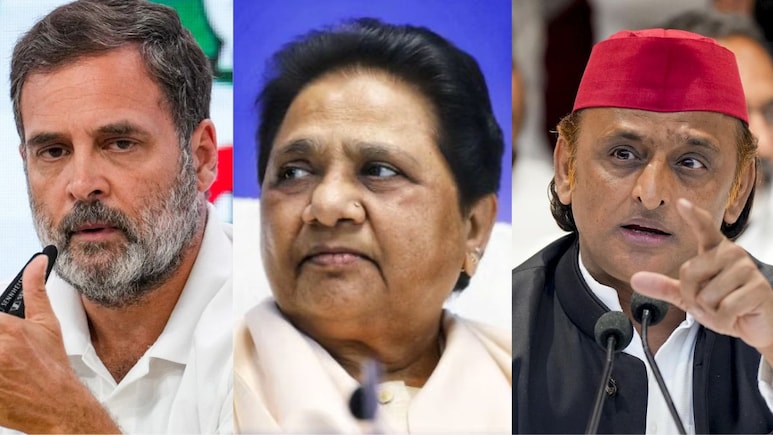 राहुल का तो SP-BSP ने भी नहीं दिया साथ, AI समिट वाले बवाल पर दे दी ये खास नसीहत