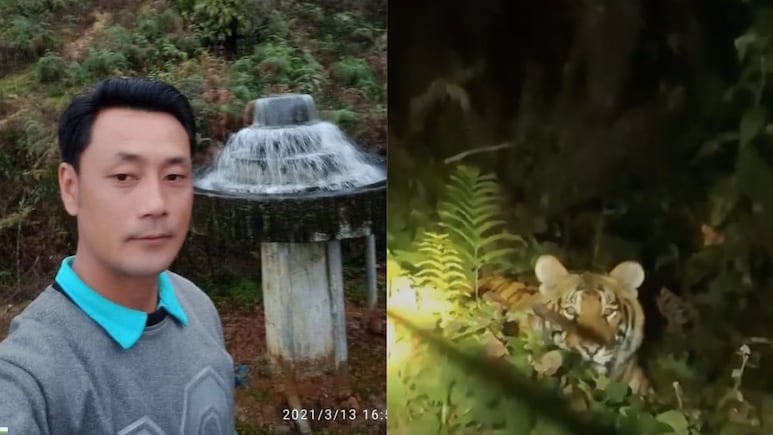 Arunachal Cop Mauled To Death By Tiger While Riding Bike