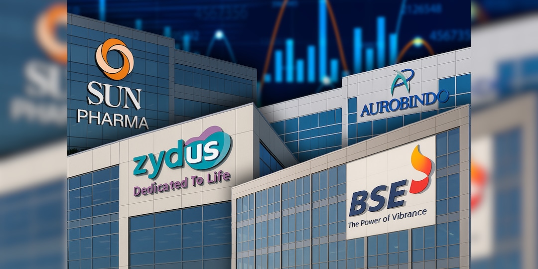 Q3 Results Live Updates: Gulf Oil Declared Rs 21 Dividend; BSE Profit, Revenue Grew