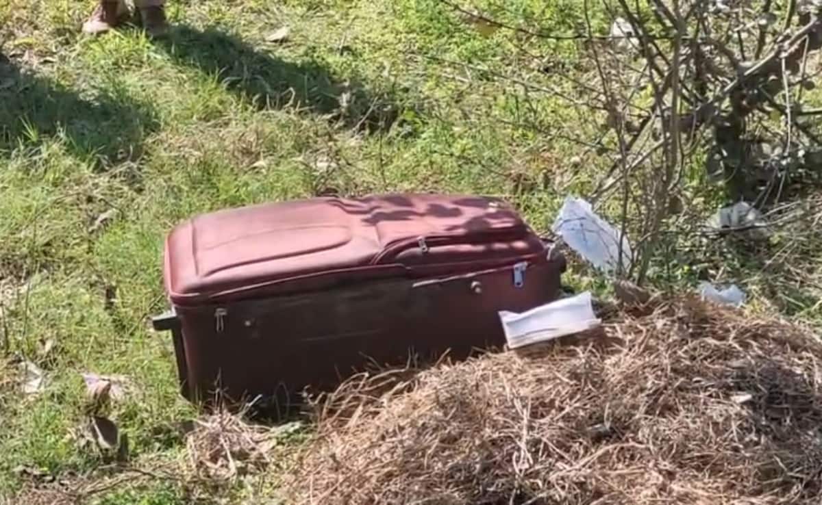 The Art of Baking: From Classic Bread to Artisan Pastries