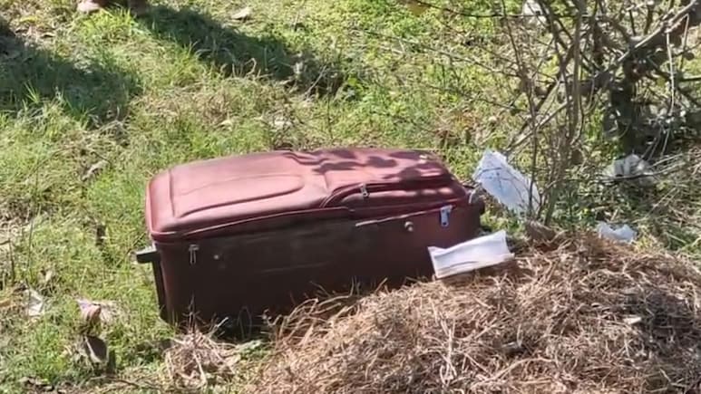 Woman's Half-Burnt Body Found In Suitcase On The Side Of Highway In Punjab