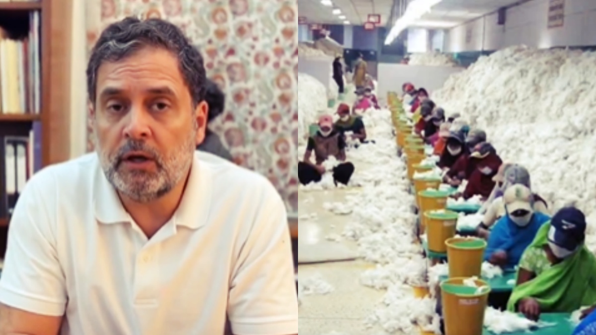 आगे कुआं, पीछे खाई... राहुल गांधी ने अमेरिकी ट्रेड डील को कपास किसानों व उद्योगों के लिए बताया विनाशकारी