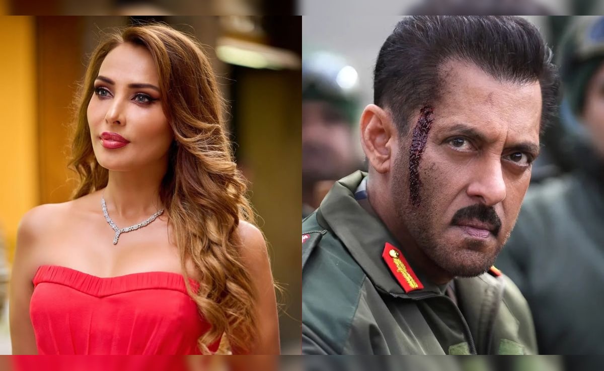 Iulia Vantur On Rejecting A Song In Salman Khan's Battle Of Galwan: "It's Better If I Do My Own Projects"