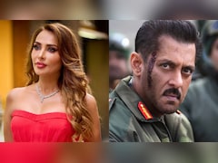 Iulia Vantur On Rejecting A Song In Salman Khan's Battle Of Galwan
