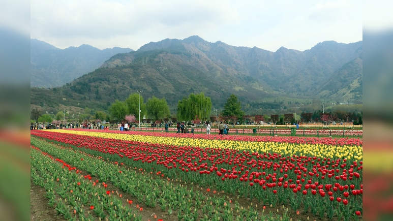 J&K घूमने वाले टूरिस्टों के लिए खुशखबरी, पहलगाम हमले के बाद बंद ट्यूलिप गार्डन समेत ये 14 पर्यटक स्थल फिर खुले