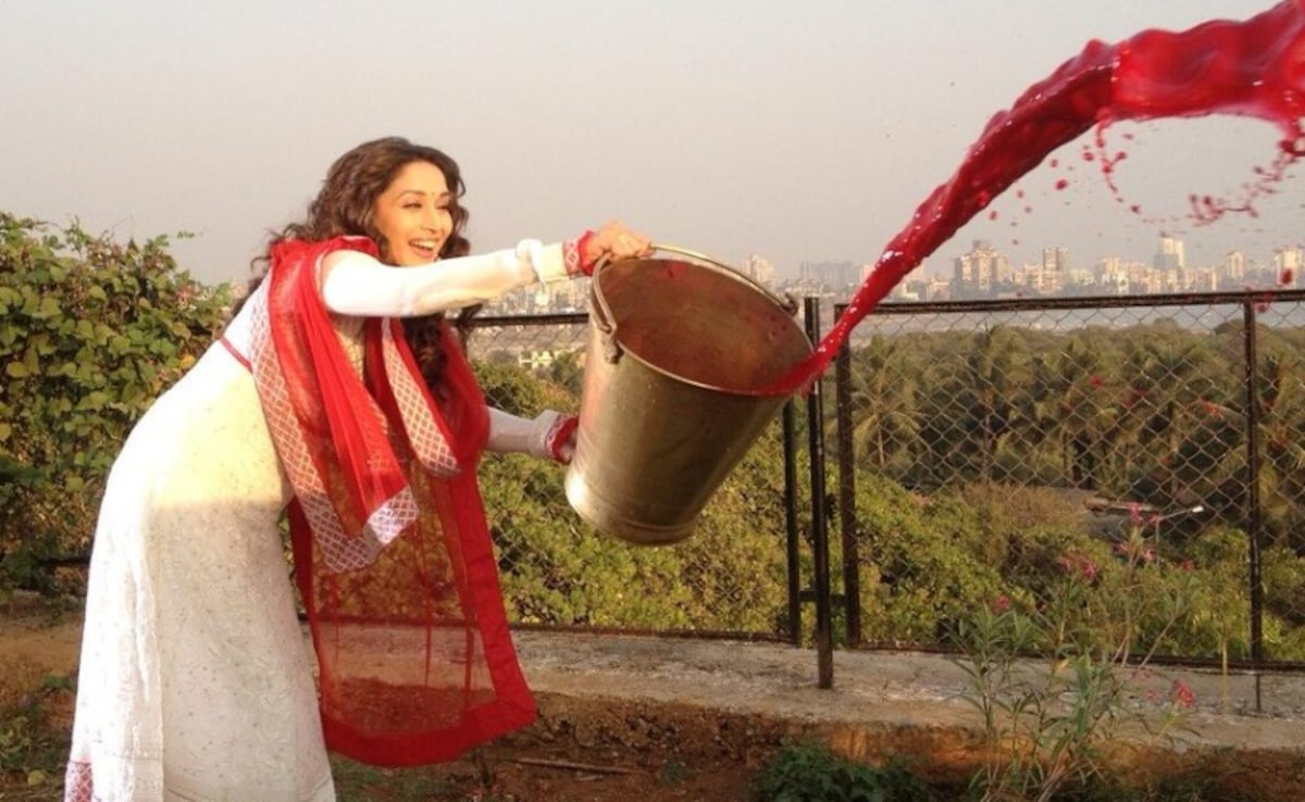 माधुरी दीक्षित की हमशक्ल पर चढ़ा होली का खुमार, हेमा मालिनी के लुक में शोले के होली गाने पर किया ऐसा डांस, देखते रह गए लोग, बोले- हूबहू वही चेहरा