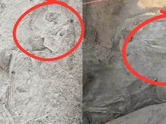 कर्नाटक में कहां मिला 5 हजार साल पुराना मानव कंकाल? शरीर के ऊपर रखे थे पत्थर, खुलेंगे कई राज!