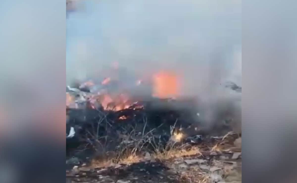 The Art of Baking: From Classic Bread to Artisan Pastries