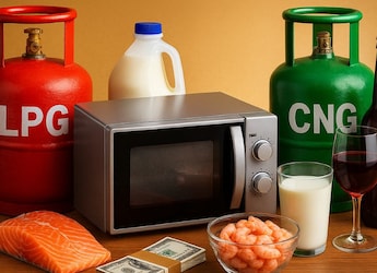 Budget 2026-27: What Will Be Cheaper, And Costlier Now In The Food And Beverage Sector