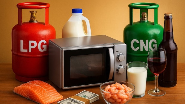 Budget 2026-27: What Will Be Cheaper, And Costlier Now In The Food And Beverage Sector