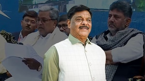 Karnataka Minister's 'Stray Dogs' Remark Sparks Political Storm